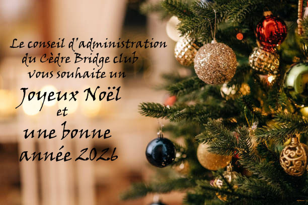 Joyeuses Fêtes de fin d'année