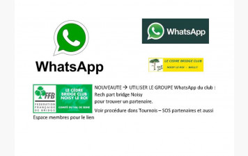 Recherche de partenaire sur WhatsApp