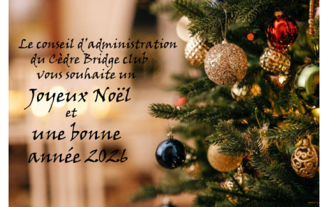 Joyeuses Fêtes de fin d'année